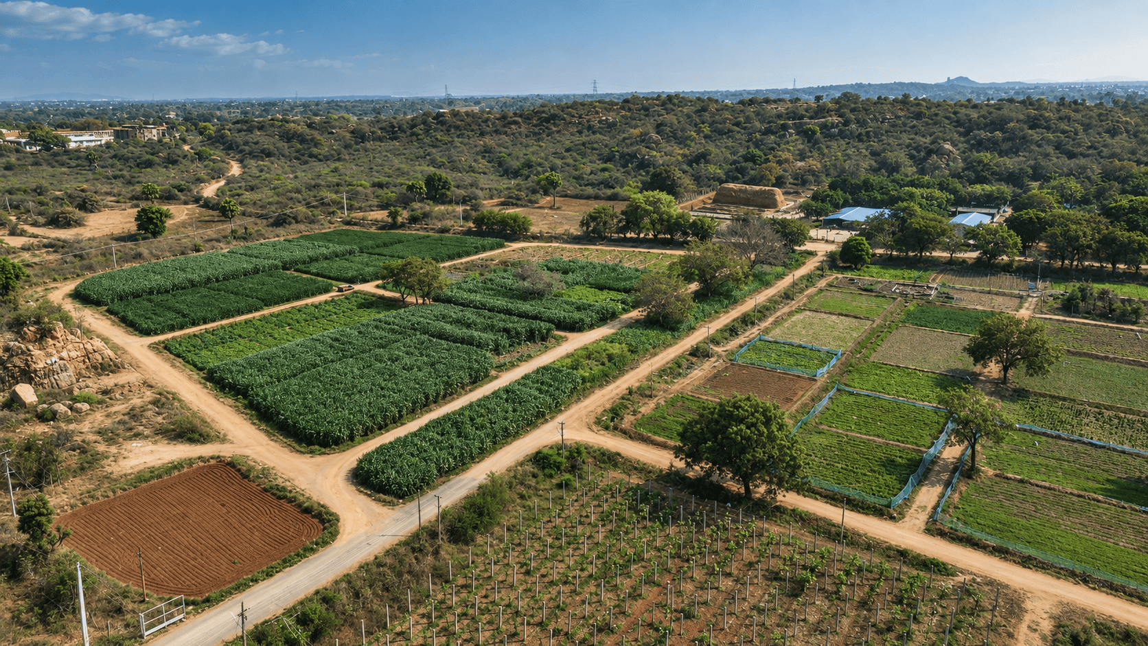 Farm Land